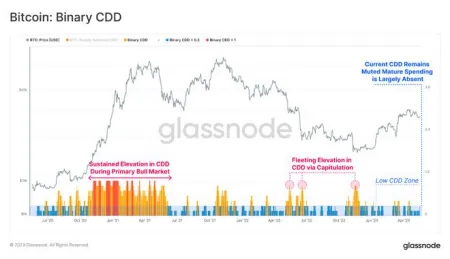 比特币二进制 CDD 保持低位，这意味着什么插图